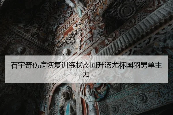 石宇奇伤病恢复训练状态回升汤尤杯国羽男单主力