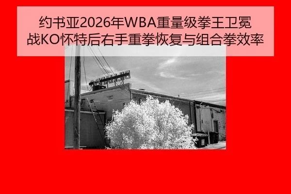 yue-shu-ya-nian-zhong-liang-ji-quan-wang-wei-mian-zhan-huai-te-hou-you-shou-zhong-quan-hui-fu-yu-zu-he-quan-xiao-lv-3-111.jpg
