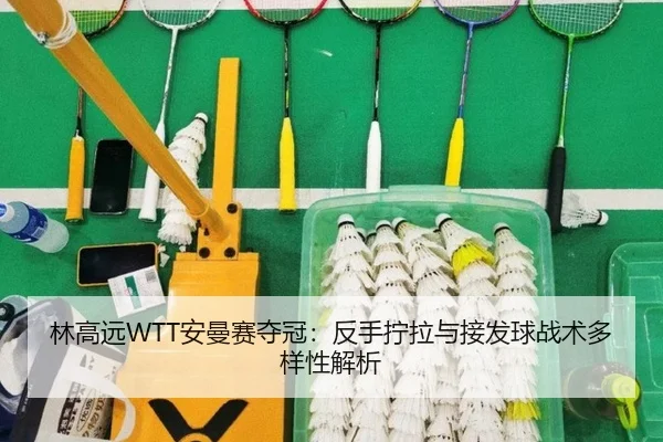 lin-gao-yuan-an-man-sai-duo-guan-fan-shou-ning-la-yu-jie-fa-qiu-zhan-shu-duo-yang-xing-jie-xi-2-964.jpg
